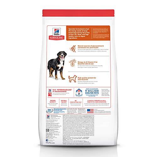 Hill's Science Diet Dry Dog Food, Adult, Large Breed, Chicken & Barley Recipe, 15 LB Bag - //medicalbooks.filipinodoctors.org
