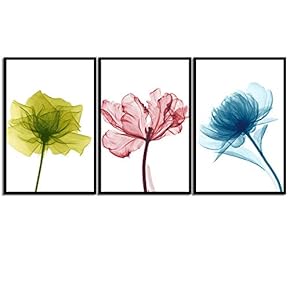 signwin Framed Canvas Wall Art X-Ray Flowers Canvas...