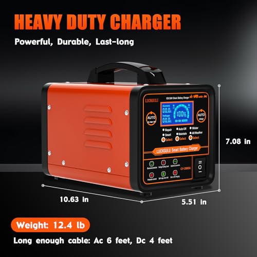 Caricabatterie Auto 12V/24V 20A Professionale, Caricatore e Mantenitore Automatico con Modalità Riparazione, Programma Invernale, Arresto Automatico,Ricarica Rapida per Auto,Camion,Moto,Camper