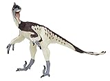 Carnegie Collection: Velociraptor