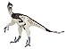 Carnegie Collection: Velociraptor