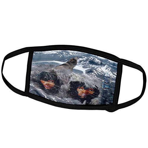 3dRose Face Mask Small, Varies