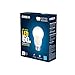 Cree 60W Equivalent Soft White (2700K) A19 LED Light Bulb (4-Pack)