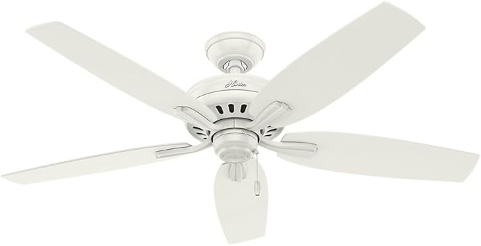 Hunter Indoor Outdoor Ceiling Fan With Pull Chain Control