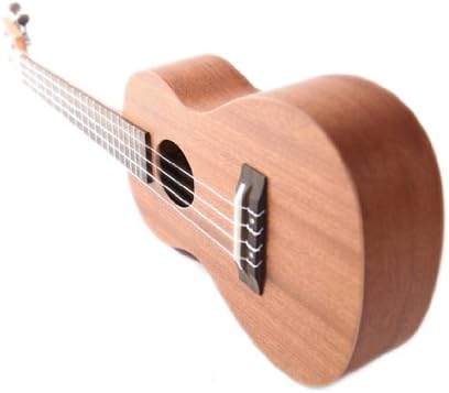 Abalone 1.5 mm Diameter