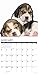 Just Beagle Puppies 2019 Wall Calendar (Dog Breed Calendar)