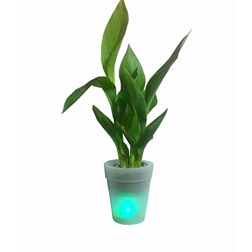 Solar Flower Pot Lights Led Planter Vase Lampgarden Outdoor Yard Home