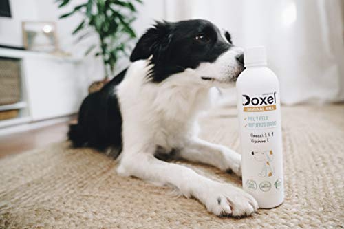 Doxel 4all Original-250ml | Olie voor honden | Natuurlijk supplement | Versterkt immuunsysteem | Gewrichten | Glanzend… - Afbeelding 6