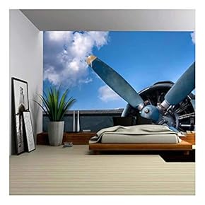 Propeller and Engine of Vintage Airplane - Removable Wall Mural | Self-Adhesive Large Wallpaper - 66x96 inches