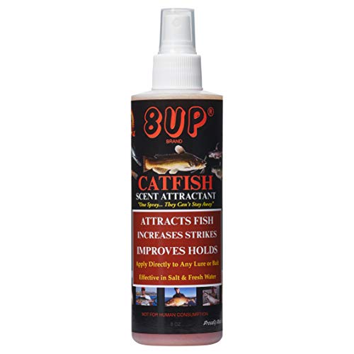 How to find the best catfish attractant for 2019?