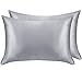 YANIBEST Pillow Cases 2 Pack 100% Mulberry Silk Pillowcase for Hair and Skin with Hidden Zipper (Queen Pillowcase Set of 2, Grey)