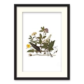 NWT Black Paper Framed Canvas Wall Art for...