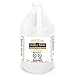 Regal Flame Ventless Bio Ethanol Fireplace Fuel (1 Gallons)