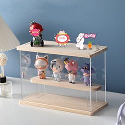 LONG TAO Clear Acrylic Display Case with Shelf