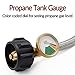 SHINESTAR RV Propane Hose with Gauge for Camper, 12 Inch Braided Propane Pigtail for Dual Stage Regulator, 1/4 Inch Male NPT x QCC1, 2 Pack