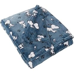 BERKSHIRE Blanket & Home Co Peanuts Throw Blanket