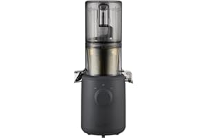 Hurom H310A Personal Self Feeding Slow Masticating Juicer (Matte Black)