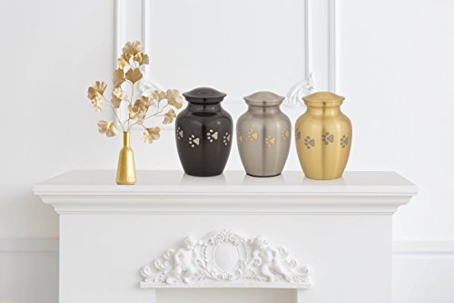 Enshrined Memorials Cremation Urn for Funeral by Cerberus Series Quality Medium Pet Dog Cat Handcrafted Solid Brass Affordable for Ashes in Velvet Bag Engraving Design