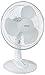 Hurricane 736549 Portable Desk Fan, 12-Inch, White