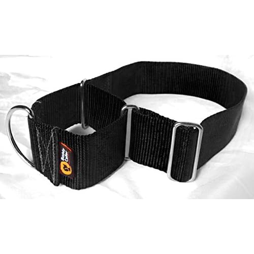 2 inch martingale collar