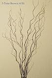 Green Floral Crafts Curly Willow Branches (Bunch of 8 Stems), 4-5Ft Tall, 3-Tone Brown & Caspia