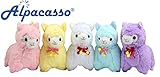 Alpacasso Pack of 5 6.7