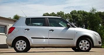 Tuning-Pro Seitenleisten-Satz - Rammschutzleisten - Türschutz, Nr. 60001110