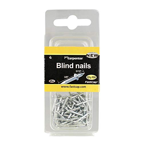 FastCap BLINDNAILKIT Doubleended 3/16inch x 3/8inch Blind Nail Kit