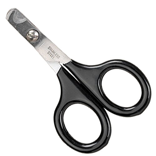 Master Grooming Tools Pet Nail Scissors - Stainless Steel Scissors for Trimming Nails on Cats and Birds - Small, 3½"