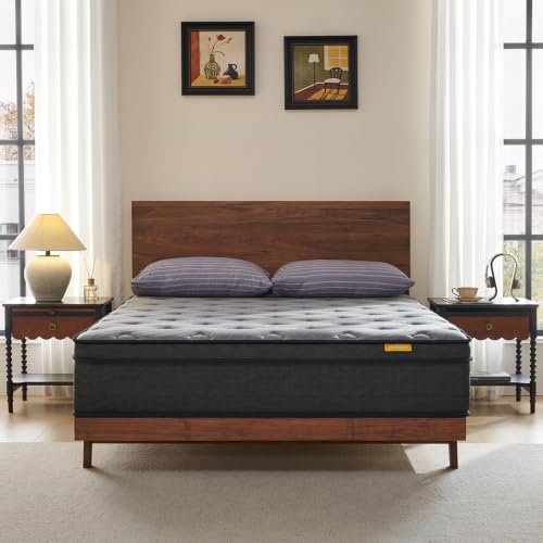 MOKSEN 10 Inch Hybrid Queen Mattress