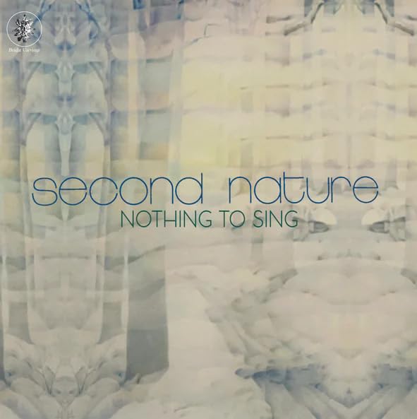 Nothing To Sing [VINYL] en promo sur Amazon