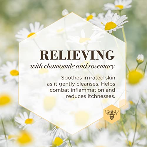 Burt's Bees for Dogs Care Plus+ Natural Relieving Dog Shampoo with