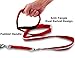BLAZIN Light Up Dog Leash LED - 1,000 Feet of Visibility - USB Rechargeable Waterproof Glow in The Dark Dog Leash - 6 Foot, Pink