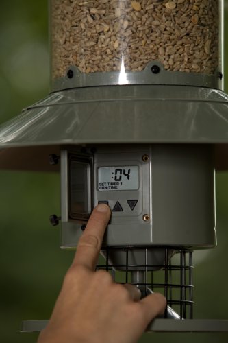 Wingscapes Wsbf02 00132 Autofeeder Amazon In Garden Outdoors