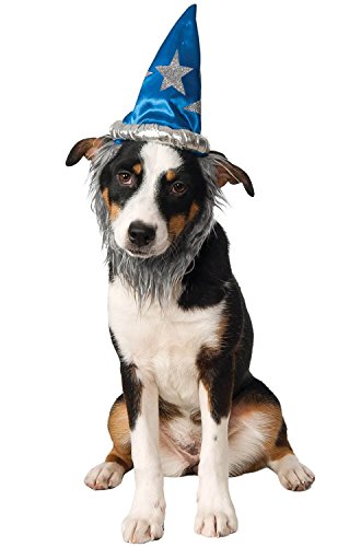 Rubies Costume Company Wizard Hat with Beard for Pets