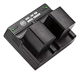 BM 2 BP-820 Batteries and Dual Battery Charger for Canon VIXIA HF G50, HF G60, XA40, XA45, XA50, XA55, GX10, HFG20, HF G21, HFG30, HFG40, HFM301, HFM41, HFM400, XA10 XA11 XA15 XA20 XA25 XF400 XF405