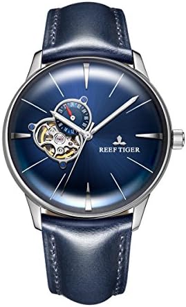 REEF TIGERMens Casual Watches Convex Lens Tourbillon Watch Leather Strap Automatic Watches RGA8239