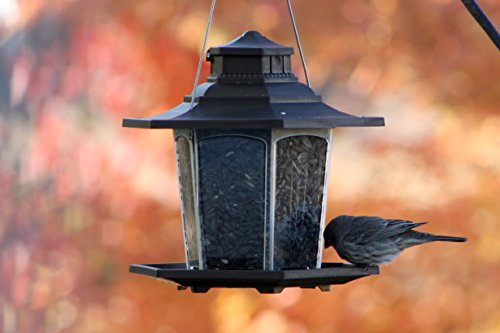 Stokes Select Bird Feeder, 6 Feeding Ports, 2.6 lb Bird Seed Capacity, Gazebo Wild Bird Feeder, Brown