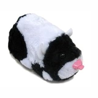 zhu zhu pets guinea pigs