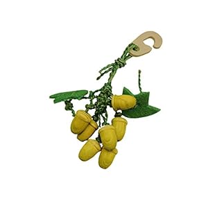 Critters-Choice-Acorn-Nibbler-Chew-Toy-for-Small-Animals Critters Choice Acorn Nibbler Chew Toy for Small Animals