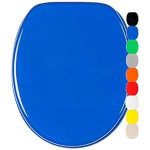 WC-Sitz Holzkern blau mit Absenkautomatik