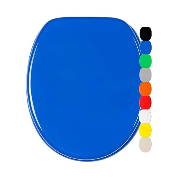 WC-Sitz Holzkern blau mit Absenkautomatik