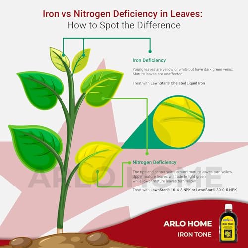 Organic Iron-Tone (250 ml) Organic Fertilizer and Plant Food to Help Correct Iron Deficiency Turns Yellow to Green, Non Staining Iron for Indoor and Outdoor Plants Iron Tonic for Houseplants