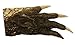 Authentic 2-3 Inch Real Gator Foot