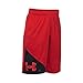 Under Armour UA Tech Prototype YMD Red