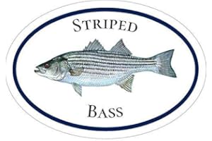 ION GRAPHICS Bass Decal - Striped Fishing Vinyl Sticker