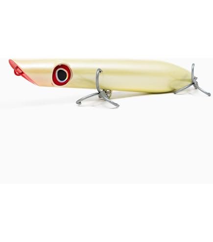 Amazon.com : Dark Matter Astro Spook - Bone Color - 7", 3.7oz Saltwater Fishing  Lures Inshore, Hexagonal Hard Plastic Body Top Water Lures for Bass Fishing,  Large 3D Eyes Walk The Dog