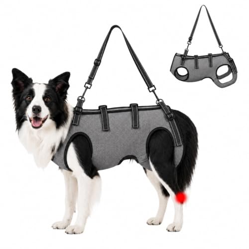 JYmusaecoin Dog Lift Harness for Senior Dogs, Full Body Support, Gray L at Amazon