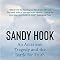 Sandy Hook An American Tragedy And The Battle For Truth Williamson sandy-hook-an-american-tragedy-and-the-battle-for-truth-williamson