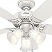 Hunter Southern Breeze Indoor Ceiling Fan with LED Lights and Pull Chain Control